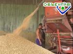Article Украина не будет экспортировать продовольственное зерно