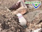 Article «Метла переходящая» начала поиск хозяина