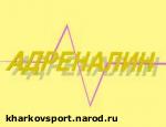 Article Адреналин-шоу: «350 минут драйва – минута за год!»