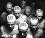 Article На месте захоронения узников концлагеря «Холодная гора» сегодня откроется памятный знак