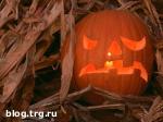 Article Сегодня канун Дня всех святых – Хэллоуин