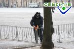 Article Станислав Денисюк: Милиционеры не имеют права участвовать в массовых политических акциях