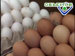 Зображення до:  На харьковских рынках вновь дорожают продукты