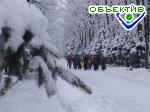 Article Сегодня самая длинная ночь в году