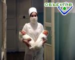 Article Разовая помощь при рождении ребенка повысилась