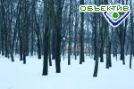 Article Парками им. Горького и «Юность» концессионеры заинтересовались пока «на словах»