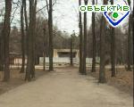 Article Парк им. Горького лишится 70 деревьев