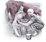 Article Правительство думает, как отменить НДС