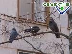 Article Выходные в  Харькове будут теплыми и солнечными