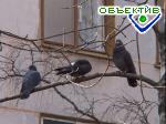 Article В Харькове будет тепло. Возможна гроза