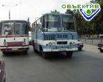 Article Областные власти выставили на конкурс 12 автобусных маршрутов