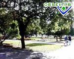Article Требования к соблюдению чистоты в городе станут более жесткими