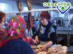 Article Правительство выслушает все телефонные звонки производителей мяса