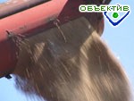 Article Александр Барановский: цены на зерно падают