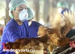 Article Минагрополитики: Птичий грипп Украине не угрожает