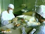 Article Минздрав рассказал, как уберечься от птичьего гриппа