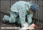 Article Ющенко уволил главного ветврача Украины