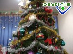 Article Лесхозы области подготовят для новогодней продажи более 50 тысяч елок