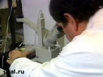 Article На борьбу с птичьим гриппом в Украину едут специалисты ВОЗ