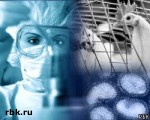 Article Для изучения ситуации с птичьим гриппом в Украину прибыли эксперты ВОЗ