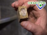 Article Харьковские ветеринары вакцинируют диких животных… вкусной приманкой