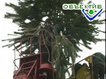 Article Главная елка Харькова откроется в субботу