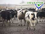 Article В Харьковской области открылся крупнейший в Европе животноводческий комплекс