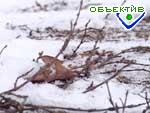 Article За сутки в Харьковской области выпала половина месячной нормы осадков
