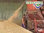 Article В 2005-м году аграрии области продали на 30% больше зерна, чем в 2004-м