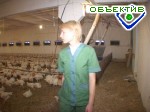 Article В Харьковской области вакцинированы 2 тысячи сотрудников птицефабрик, – зам. главврача ОблСЭС
