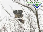 Article Завтра в Харькове – метель