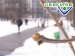 Article Уже завтра в Харькове потеплеет