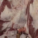 Article Россия снова обвиняет Украину в поставках некачественного мяса