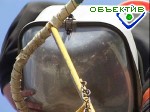 Article В ближайшие 2 года в студгородках появятся наружное освещение и новые пешеходные дорожки