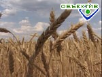 Article Кабмин выделил больше миллиарда гривень на дотирование посевов озимых и яровых