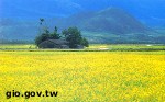 Article Строительство в Шевченковском районе завода по производству биорапса – все реальнее