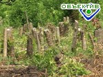 Article В Харькове могут появиться два парка
