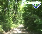 Article В прошлом году в Харькове были посажены больше 13-ти тыс. деревьев