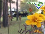Article До апреля весны в Украине не будет