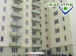 Article Началось заселение дома по ул. Ромашкина, 8