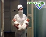 Article Некоторые пациентки дергачевского роддома не ожидали, что смогут проголосовать