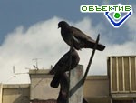 Article В Харькове с каждым днем теплеет