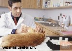 Article Госинспекция по ценам обнаружила нарушения в трех ветеринарных больницах области