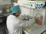 Article Харьковские ученые разрабатывают отечественный тест на птичий грипп