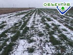 Article В Харьковской области подкормлено только 5% посевов озимых