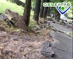 Article В Харьковской области за 2 месяца будут отремонтированы 1,6 млн. кв. метров дорог