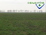 Article В Харьковской области засеяно 97,9 тыс. га зерновыми и зернобобовыми