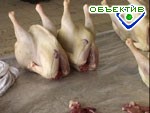 Article Россия снова запретила ввоз мяса птицы