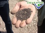 Article В Харьковской области завершают сеять яровой рапс