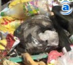 Article Проверки санитарного состояния города будут проводиться каждую неделю
